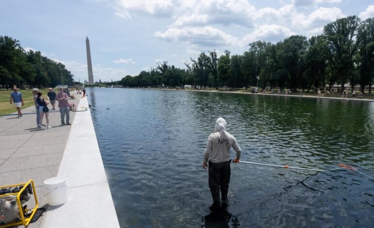 People caught vandalizing Washington Reflecting Pool to be fully prosecuted, U.S. Attorney Pirro says