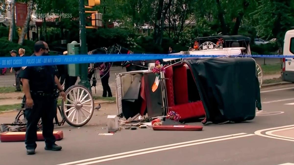 Bill seeking to ban horse carriages in New York city renamed after Indian teen killed in Central Park incident